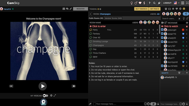 chat interface of CamSkip