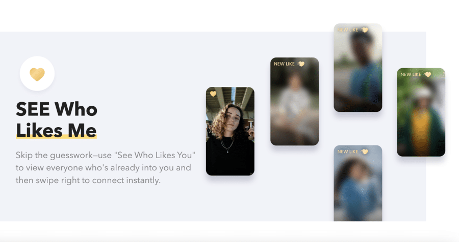 Meet New People on Omi